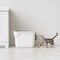 IRIS USA Top Entry Cat Litter Box with Litter Catching Lid, Privacy Walls and Scoop, Cat Pan